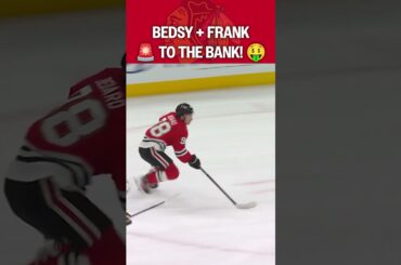 Bedsy dishes, Frank BANKS 💰