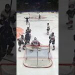 Mål eller inte? (Djurgården Hockey mot Malmö Redhawks på Hovet Stockholm i SHL i Sverige) (#Shorts)