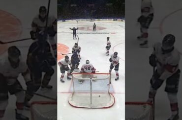 Mål eller inte? (Djurgården Hockey mot Malmö Redhawks på Hovet Stockholm i SHL i Sverige) (#Shorts)