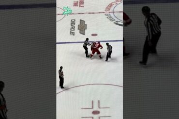 Dominik Shine drops Martin Pospisil and Detroit LOVES IT 🔥