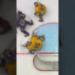 Mål eller inte? (Malmö Redhawks mot Djurgården Hockey i Malmö Arena i SHL i Sverige) (#Shorts)