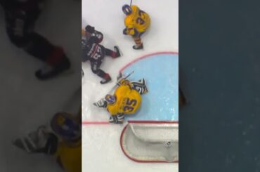 Mål eller inte? (Malmö Redhawks mot Djurgården Hockey i Malmö Arena i SHL i Sverige) (#Shorts)