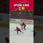 Free piggyback rides! 🤣