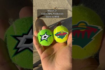 Cujo’s NHL Picks | Dallas Stars vs Minnesota Wild 🏒 03-21-2026 #CujoCatches