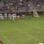 Anders Lee Long Passes 2007