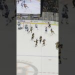 Watch the magic come to life 🤩