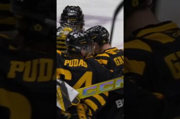 Strauss Mann håller nollan igen (Skellefteå AIK mot Växjö Lakers HC i SHL i Sverige) (#Shorts)