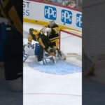 Weird nhl goal lol #gojetsgo