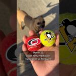 Cujo’s NHL Picks | Carolina Hurricanes vs Pittsburgh Penguins 🏒 03-22-2026 #CujoCatches