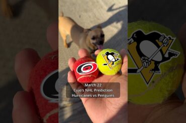 Cujo’s NHL Picks | Carolina Hurricanes vs Pittsburgh Penguins 🏒 03-22-2026 #CujoCatches