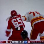 NHL Hockey fight - Dominik Shine(Red Wings) vs. Martin Pospisil(Flames)