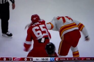 NHL Hockey fight - Dominik Shine(Red Wings) vs. Martin Pospisil(Flames)
