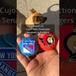 Cujo’s NHL Picks | Ottawa Senators vs New York Rangers 🏒 03-23-2026 #CujoCatches