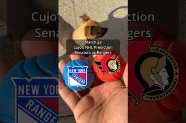 Cujo’s NHL Picks | Ottawa Senators vs New York Rangers 🏒 03-23-2026 #CujoCatches