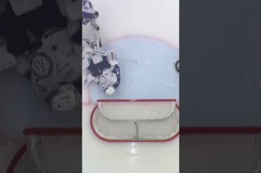 Mål eller inte? (HV71 mot Leksands IF i Husqvarna Garden i Jönköping i SHL i Sverige) (#Shorts)