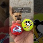 Cujo’s NHL Picks | Colorado Avalanche vs Pittsburgh Penguins 🏒 03-24-2026 #CujoCatches