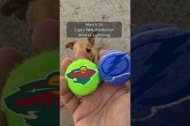 Cujo’s NHL Picks | Minnesota Wild vs Tampa Bay Lightning 🏒 03-24-2026 #CujoCatches