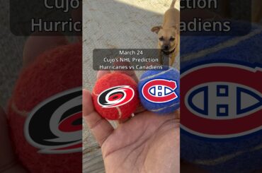Cujo’s NHL Picks | Carolina Hurricanes vs Montreal Canadiens 🏒 03-24-2026 #CujoCatches