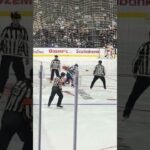 Michael Pezzetta Fight