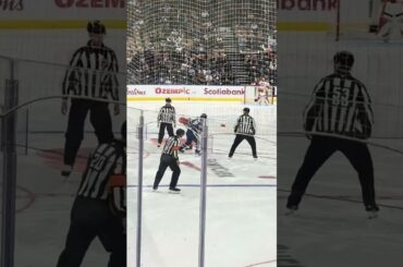 Michael Pezzetta Fight