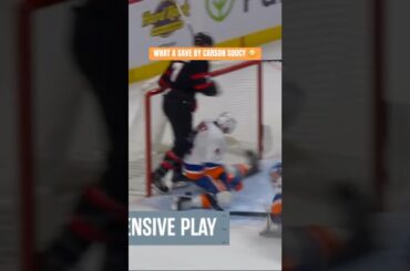 Incredible Defensive Play by Carson Soucy 😳