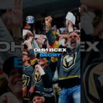 САМЫЕ ТОКСИЧНЫЕ ФАНАТЫ НХЛ #nhl #нхл #хоккей #hockey #vegas #goldenknights #вегас #фанаты #спорт