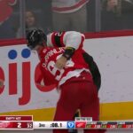 Alex DeBrincat Stands Up For Dylan Larkin