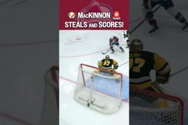 Nate Dogg's OFF LEASH 🐶