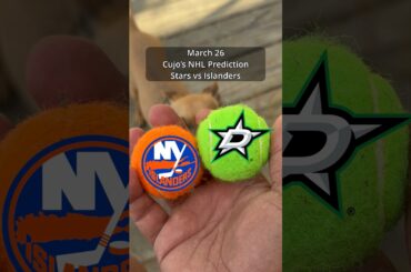 Cujo’s NHL Picks | Dallas Stars vs New York Islanders 🏒 03-26-2026 #CujoCatches