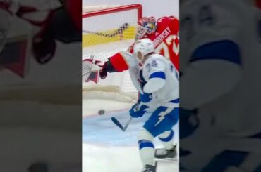 top 10 Sergei Bobrovsky’s saves in recent years | part 2