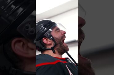 In honor of Mista Svechnikov's birthday 🎉