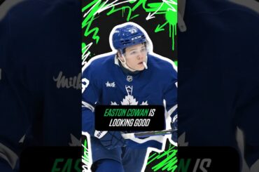 This Maple Leafs rookie is getting better every game | Off The Roster