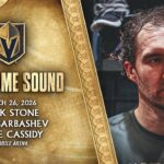 🎥 POSTGAME SOUND: Stone, Barbashev & Cassidy