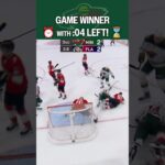 GAME WINNER with FOUR SECONDS left! ⌛