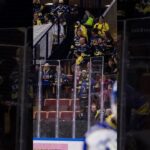 HV71 fans hånar sitt eget hockeylag (HV71 mot Leksands IF i Tegera arena i SHL i Sverige) (#Shorts)