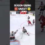 Sens want playoff hockey BAD 😤