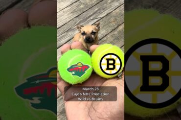 Cujo’s NHL Picks | Minnesota Wild vs Boston Bruins 🏒 03-28-2026 #CujoCatches