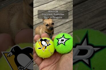 Cujo’s NHL Picks | Dallas Stars vs Pittsburgh Penguins 🏒 03-28-2026 #CujoCatches