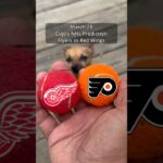 Cujo’s NHL Picks | Philadelphia Flyers vs Detroit Red Wings 🏒 03-28-2026 #CujoCatches