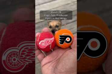 Cujo’s NHL Picks | Philadelphia Flyers vs Detroit Red Wings 🏒 03-28-2026 #CujoCatches