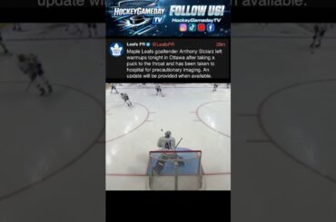 #Leafs Nylander hits goalie Stolarz in throat with shot #NHL #Hockey #fyp #foryou #Sens #icehockey