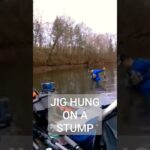 Fish is STUCK on a stump