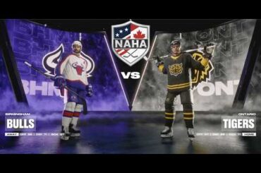 NAHA 2025-26 Season - Birmingham Bulls (16-13-4) @ Ontario Tigers (13-15-6)