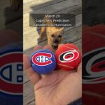 Cujo’s NHL Picks | Montreal Canadiens vs Carolina Hurricanes 🏒 03-29-2026 #CujoCatches