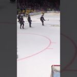 Håvard Salsten startar bråk (Djurgården Hockey mot Malmö Redhawks Malmö Arena SHL Sverige) (#Shorts)