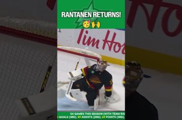 MOOSE IS LOOSE! 🫎