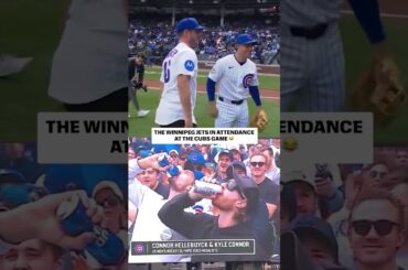 Winnipeg Jets 🤝 Chicago Cubs 😆