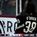 NHL hockey fight - O'Brien(Coyotes) vs. Mayfield(Islanders)