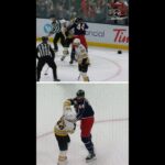 Tanner Jeannot, Mark Kastelic Rally Bruins to Comeback Win