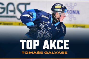 TOP AKCE | Tomáš Galvas